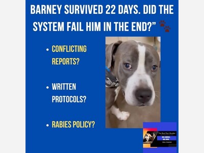 Questions mount after dog euthanized at Clayton County Animal Control