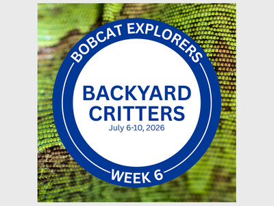 Bobcat Explorers Summer Camp: Backyard Critters
