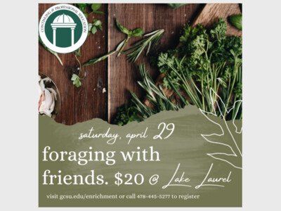 Foraging With Friends